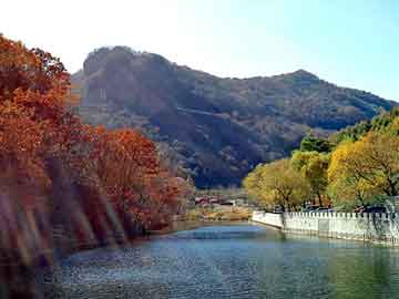 新澳天天免费资料大全，上海钢塑土工格栅